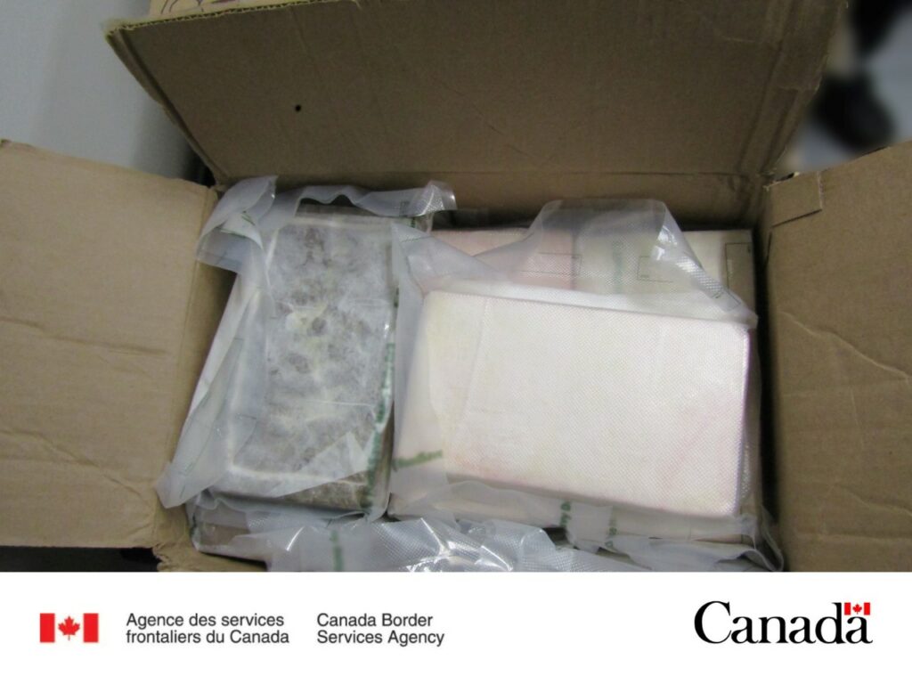 Briques de cocaïne dans une boîte de carton